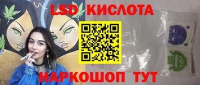 прущие грибы Краснодар