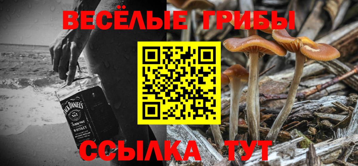 Псилоцибиновые грибы Magic Shrooms Конаково