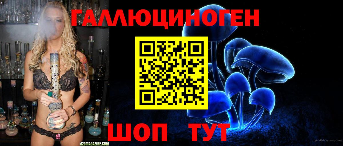 Конаково  где найти   Псилоцибиновые грибы MAGIC MUSHROOMS  Вход с VPN  Галлюциногенные грибы Psilocybe 